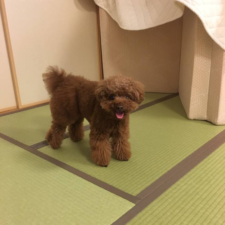 5d79d148 f92e 42b4 82b7 94889d6dc762 1564528572338