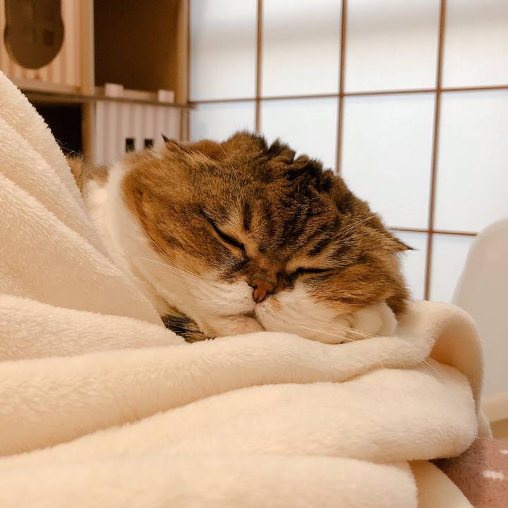 5d79d497 8d16 43a5 8d6c 01e95b99d611 1605514022559