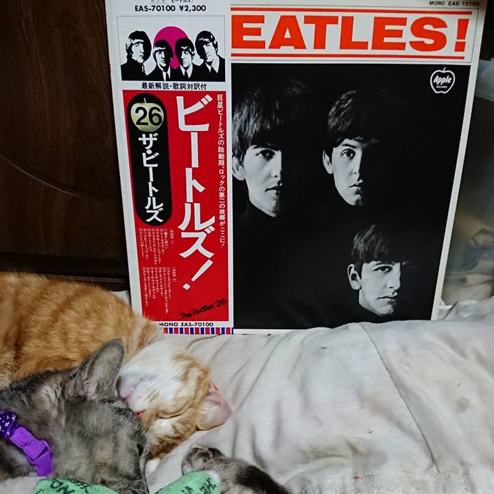 5d79d682 f107 470d b002 4f452b1159ee 1587303331604