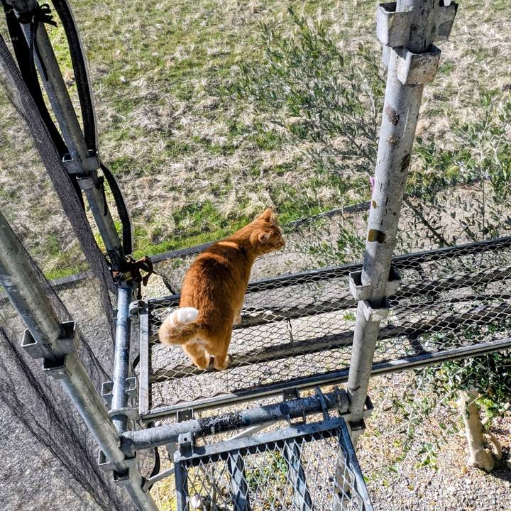 5d79dadf 02c3 4575 abb4 d5209877371e 1771045618365