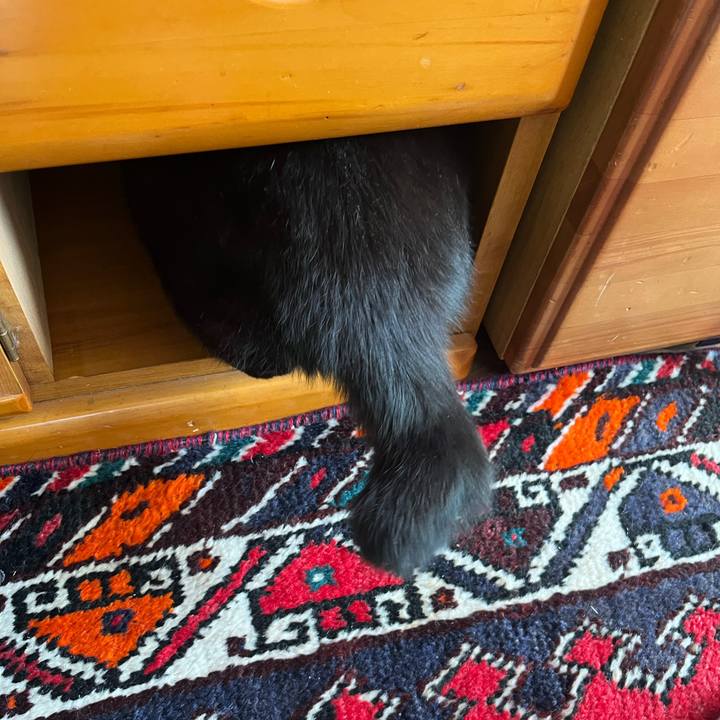 5d79f6ed 4ab7 456a b3a7 42fb3f1be0a7 1767764722306