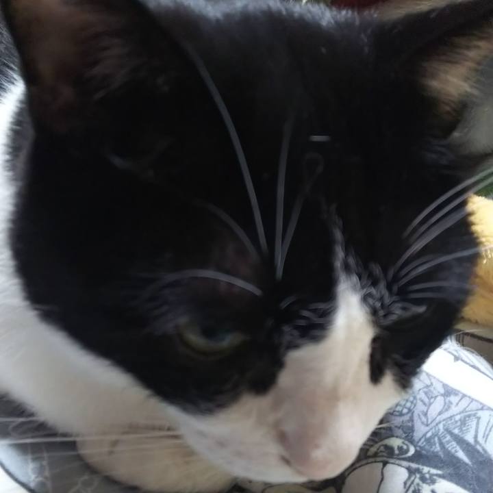 5d79fc88 8ace 4a07 818a 009598bab098 1574113238886