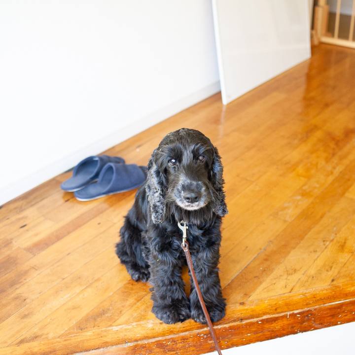 5d7a27b7 06bd 4ea7 ad6e 6413118975e8 1573954879798