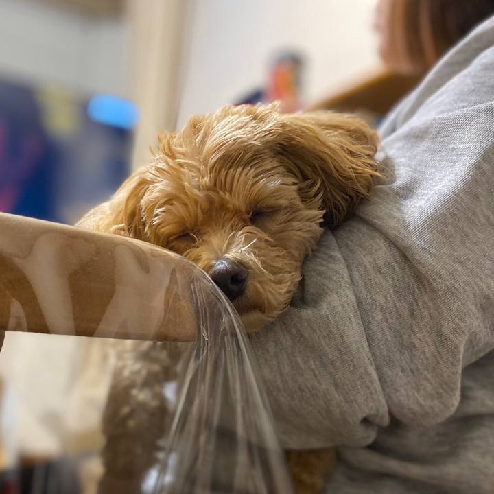 5d7a306c d5d2 4df2 8148 48bc0c64c049 1678564893343