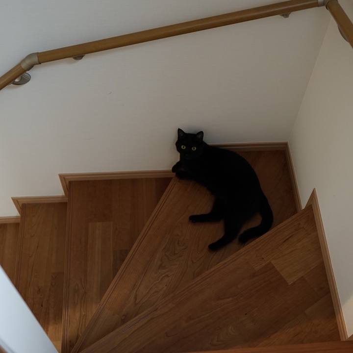 5d7a76f7 843a 4ad8 a5e6 576beed3abdc 1559518788137