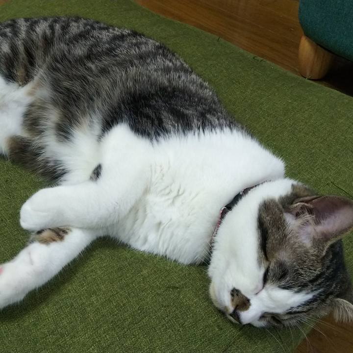 5d7a83af be71 40cf a20d 40ea3d3fab95 1618744349906