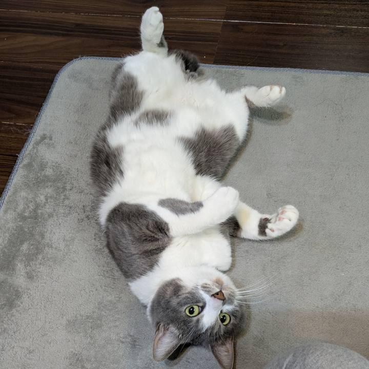 5d7ab3f7 dfb9 4984 89f1 f4cbf62300cf 1742470529277