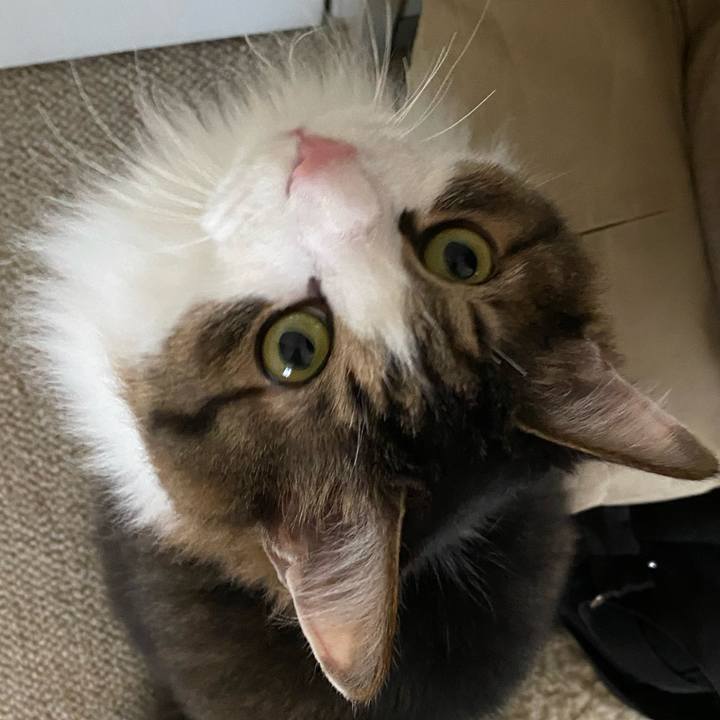 5d7ac4dc 4ba2 4cb1 ae08 c17f4b4a86c7 1672704583699