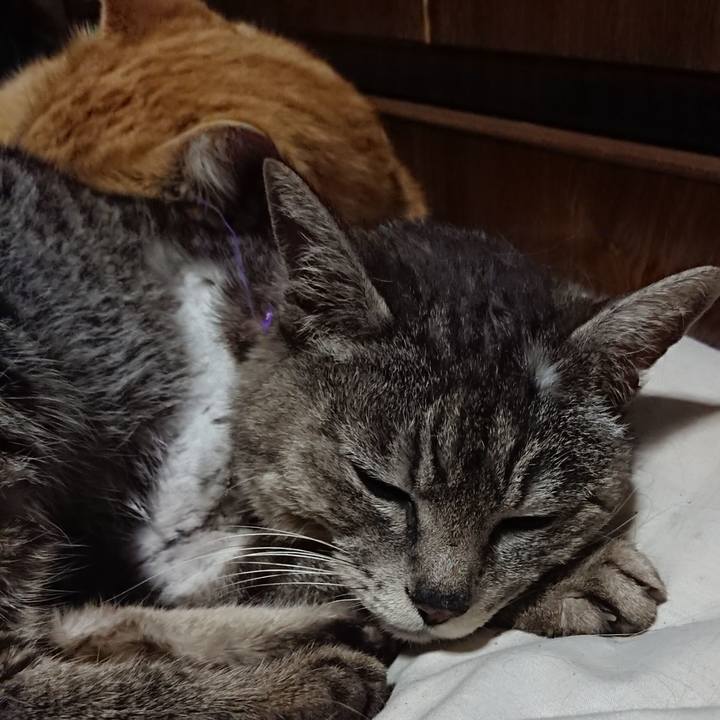 5d7aca7c 6d97 4f21 95df a1def97b7715 1588422469742