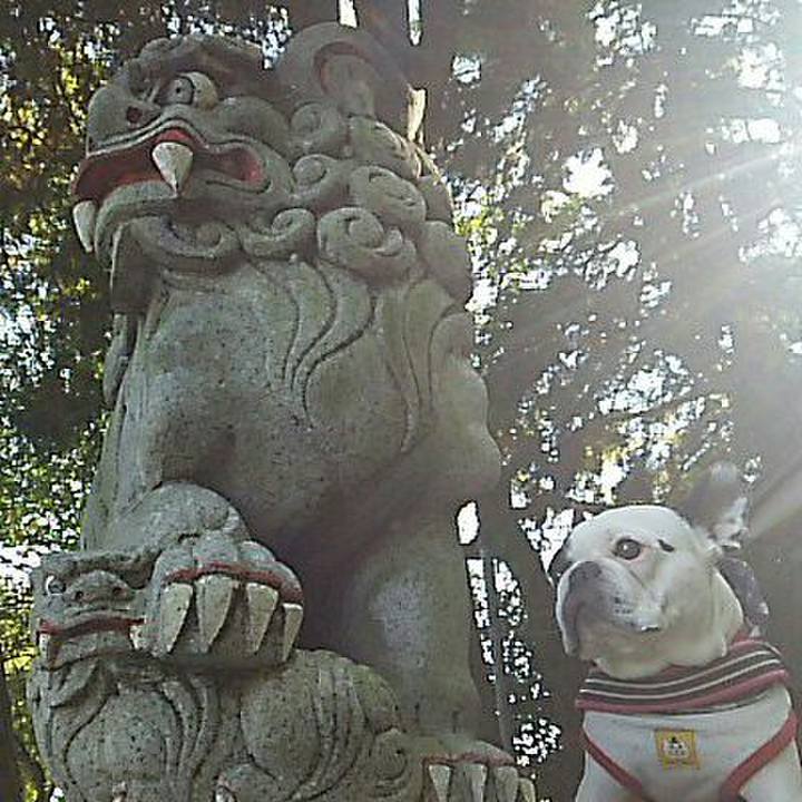 5d7ade4c 026c 41d7 b1c4 dba983b2a821 1509856572099