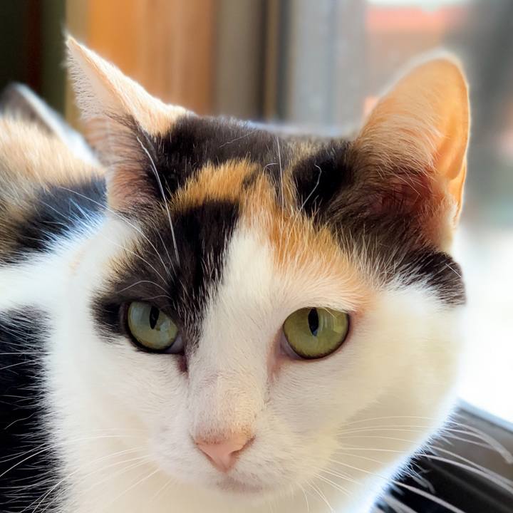 5d7b069e 3434 4f3d 99c1 383348a56d1c 1590456758550