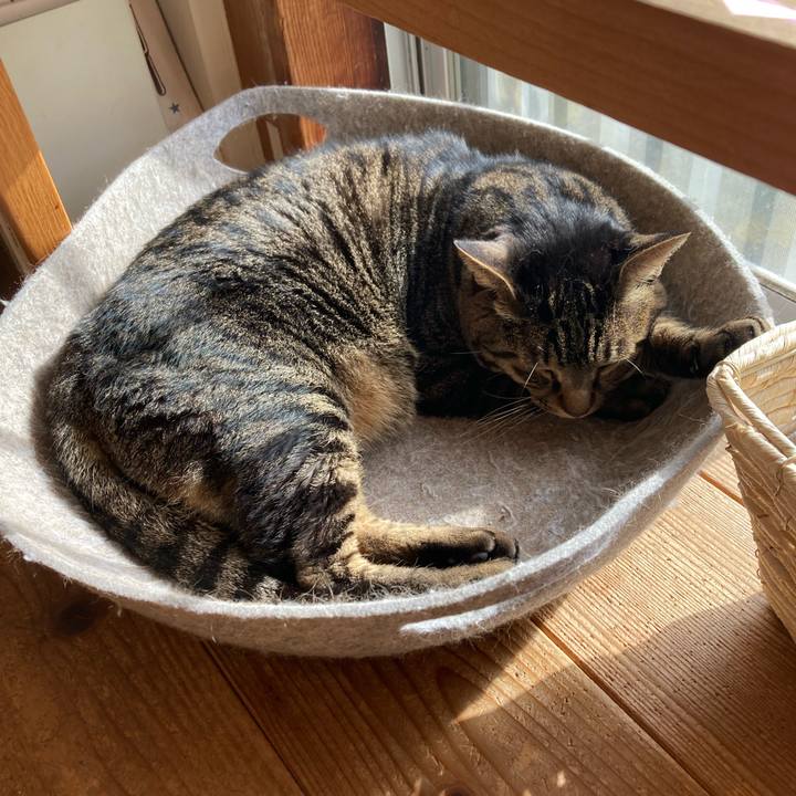 5d7b12b4 19db 4f3b 9956 5990be8e65c9 1765596656682