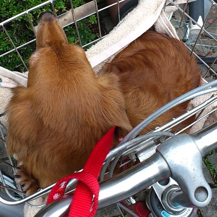 5d7b41ff f978 4c9a b0b7 1220ec456375 1550861065722