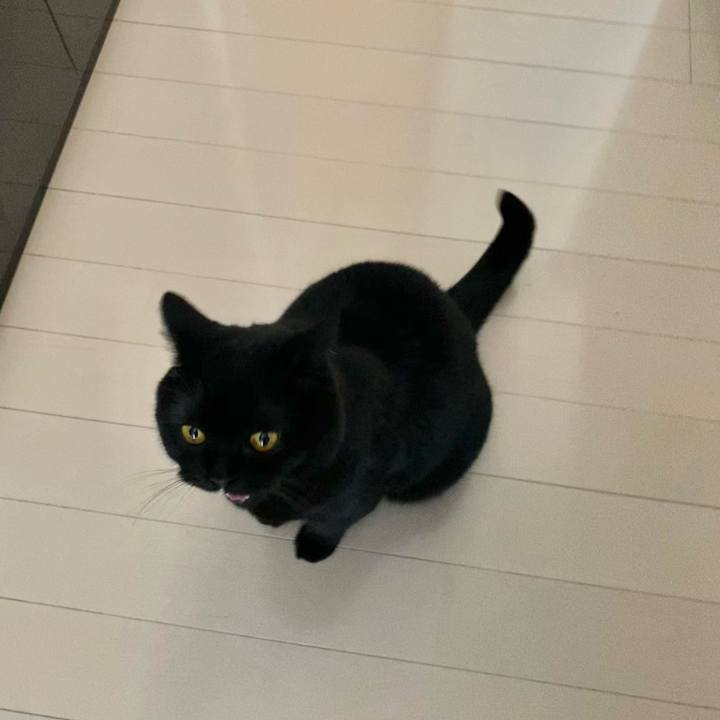 5d7b777a 3771 4b7b 962c 7386b662b8d4 1679611548791