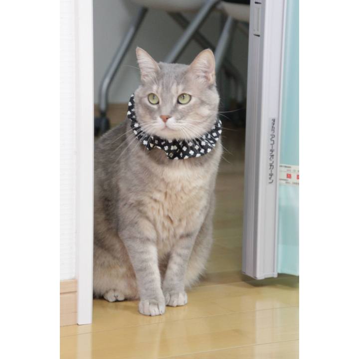 5d7bae43 ec36 41fa bd02 eaedb434e2e6 1648185858106