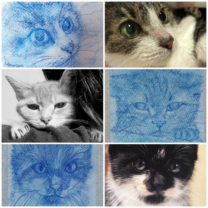 5d7bd3ed 2d3c 43fe 9d8e 71a3ec630a5a 1536845272840