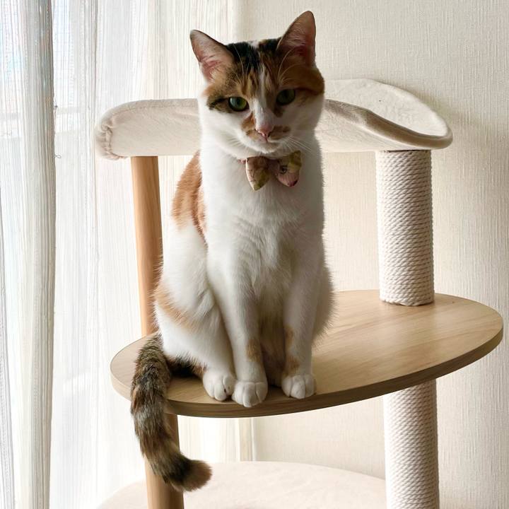 5d7bd5d2 fa20 465c b224 b3e00702e0fa 1635132883854