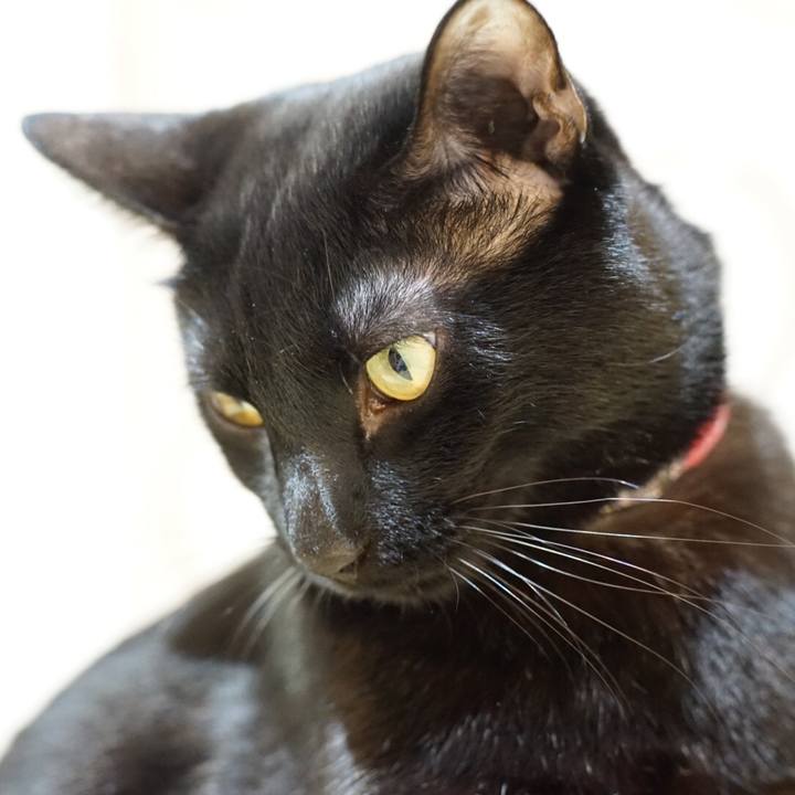 5d7be4da d043 44fe aab1 fab7a640cbee 1513517312154