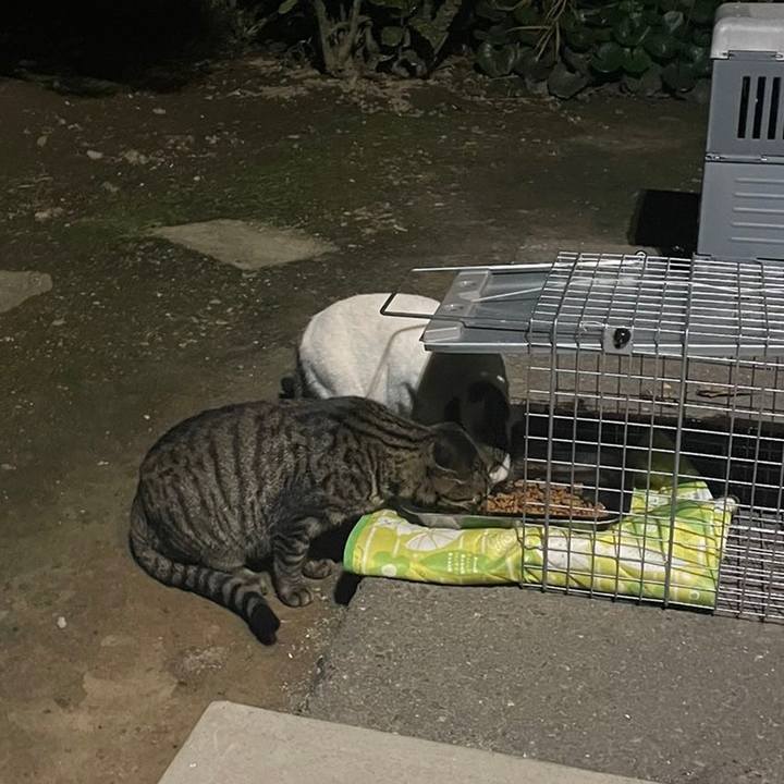 5d7c074a 2182 4c26 af17 762ab668b461 1634836867640