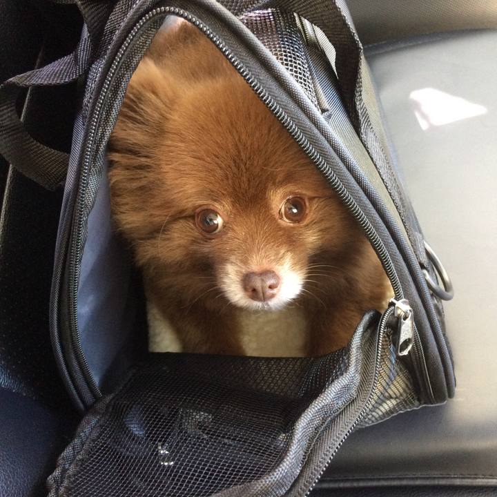 5d7c1616 4f93 4156 815e 55e19e7a9bc8 1534765056830