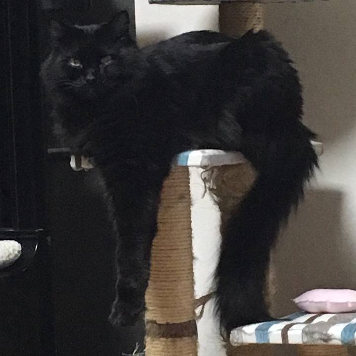 5d7c4a63 6271 4d49 8a55 8c259a5a5580 1520780682163