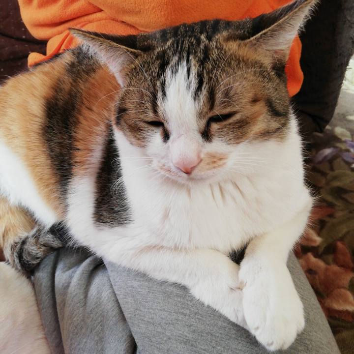 5d7c5dce 1ffb 441a 9aab edfd965a373c 1608428938817