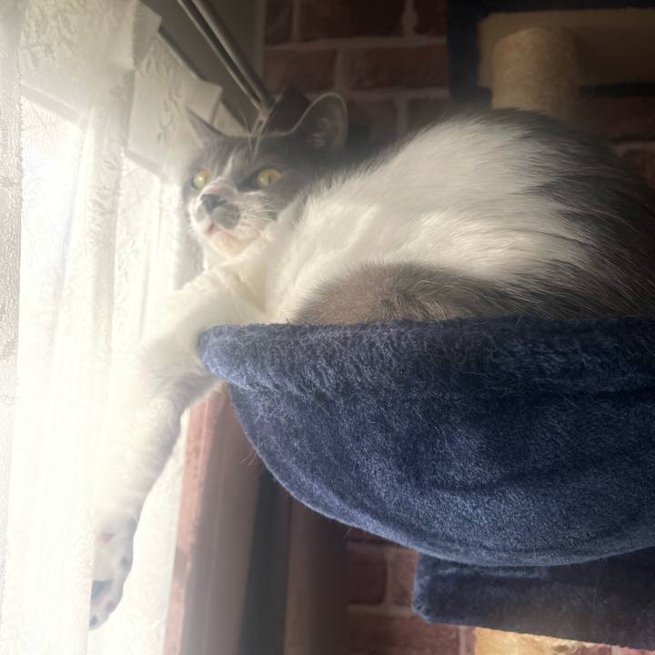 5d7c871d 0371 46f4 97ce a22cb0bb10ad 1672183905016