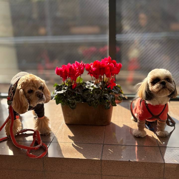 5d7cb00b 56ce 4721 b9a7 8bfe3ae00bf8 1769778498440