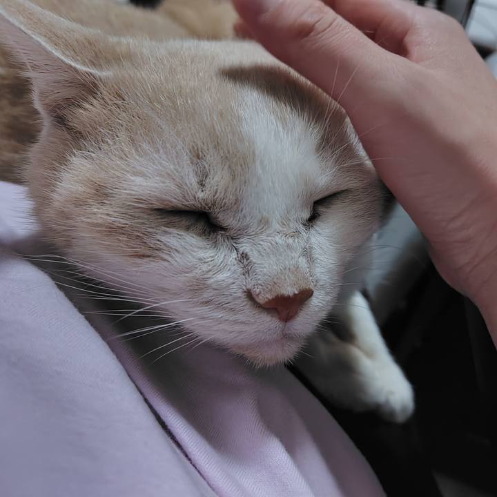 5d7ce6d3 a4e3 4c2e b205 0d61c9182fdf 1729935923404