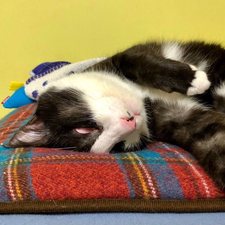 5d7d002c ddbf 4154 a13a bd4fafa3aece 1539562646415