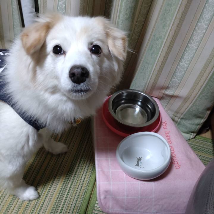 5d7d1224 1fcc 4ff9 852e ab2d8e718c11 1645209600647