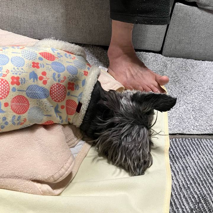 5d7d22a5 207e 432c b9ba 24170109b4a6 1774019010020