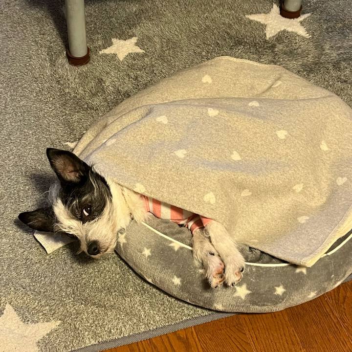 5d7d24c9 24c8 4bc1 8a93 b9ba4878a7eb 1678937254438