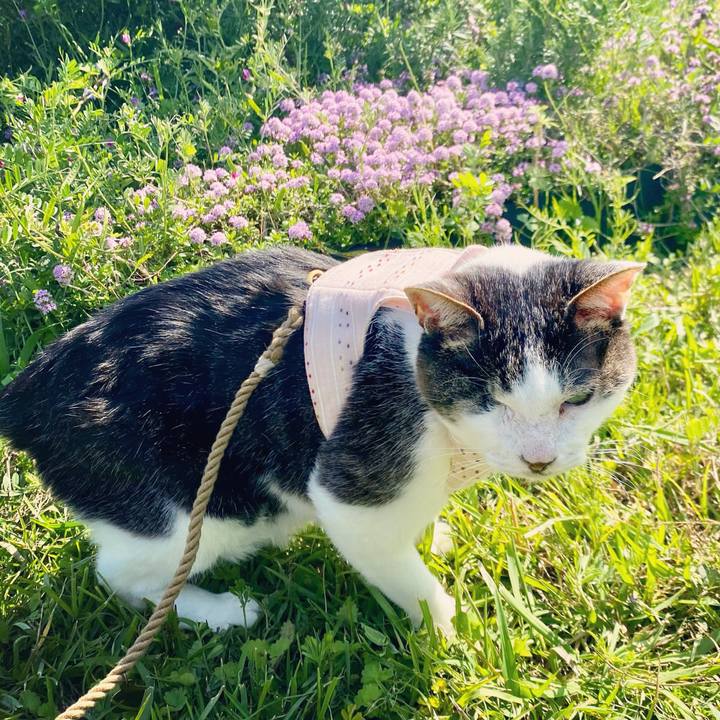 5d7d502d b512 4fa2 b804 34ea6c76c153 1618900495112