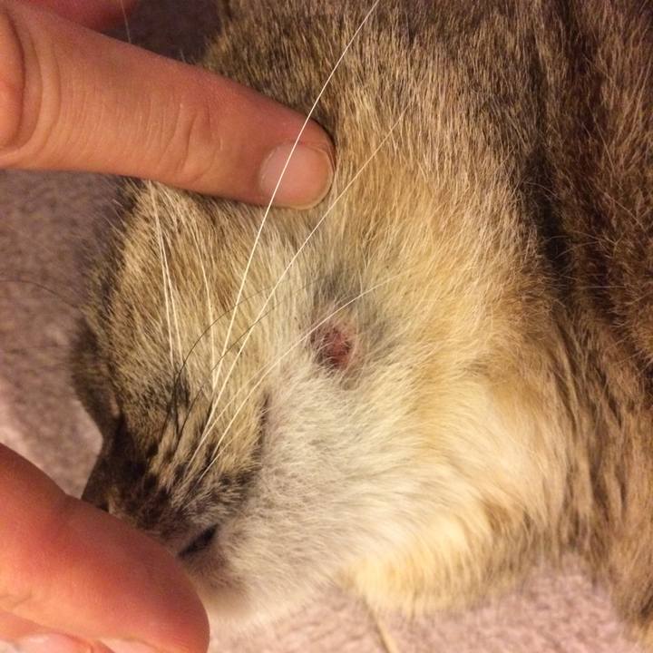 5d7dbf69 52b8 4585 99d8 94b501552b63 1591485505303