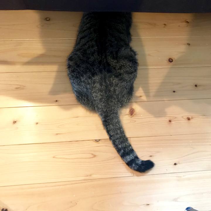 5d7ddcf5 77fd 4b3e aa27 fb1827f0d824 1566906328030