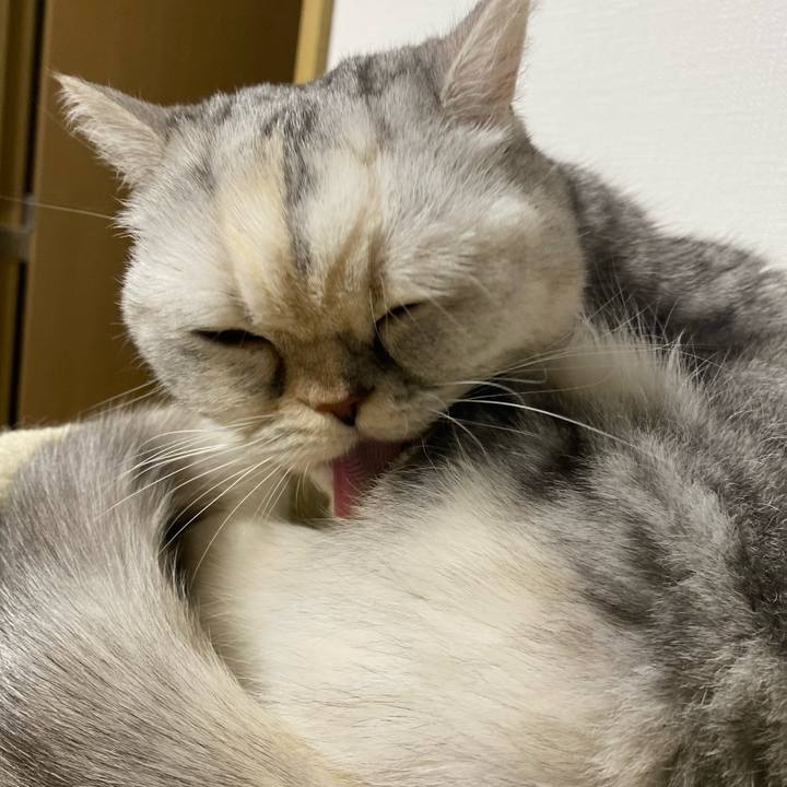 5d7de654 5e60 4bd1 aefa 2fdad9928b95 1764420617115