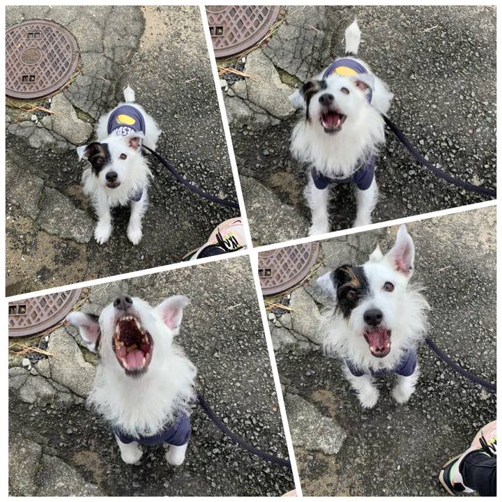 5d7de94c 0169 464c a0df 4691779b01e0 1665192227646