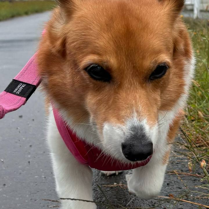 5d7e2152 1609 4df4 b510 ad21847c67e7 1729651974990