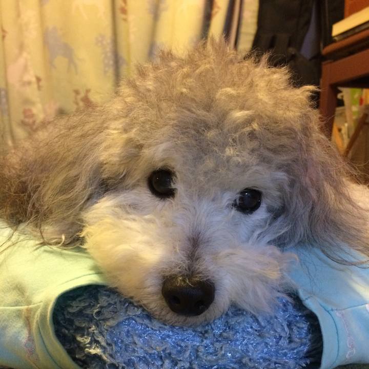 5d7e2285 83b0 4a84 9e7a dc1c467868ea 1512727097040