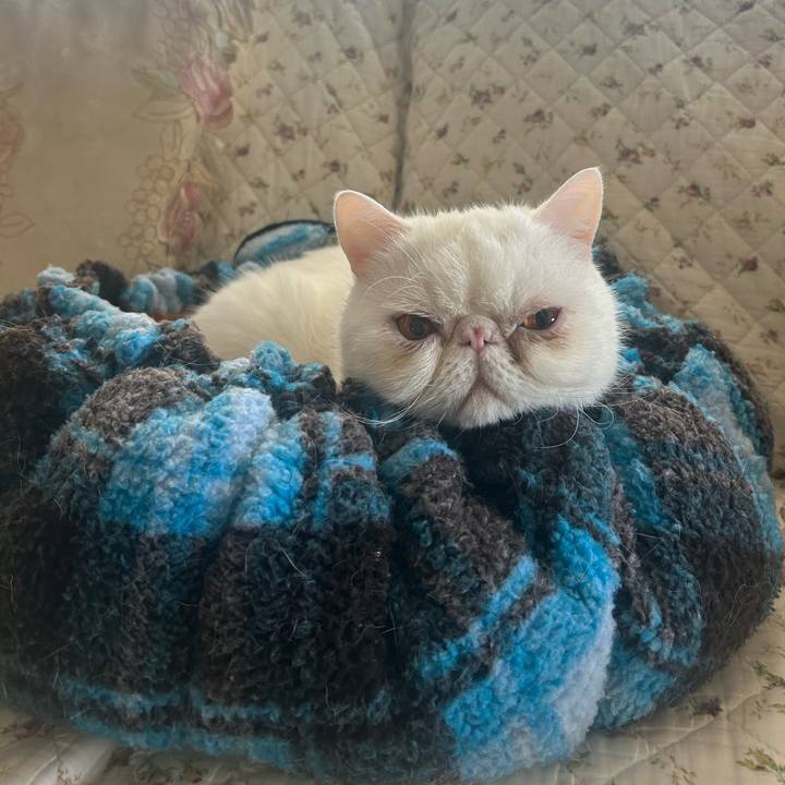 5d7e7edf 087b 4d2d a1c0 920626e59548 1731217096956