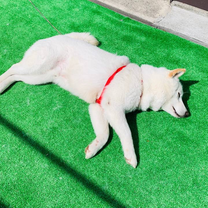 5d7e81ec e97b 4127 a03c c227771dc1ef 1586847510853