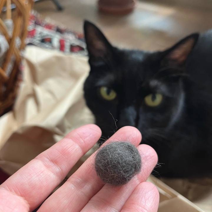 5d7e8626 41e1 4aff ac00 3873dd4db18b 1685577967131