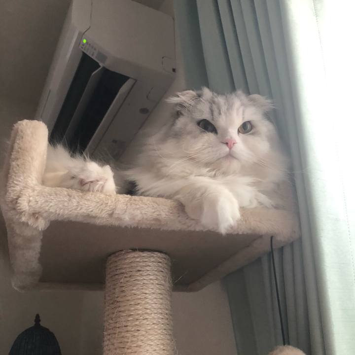 5d7e959d de10 4c36 ab3b cb22d3b1bb44 1667080152927