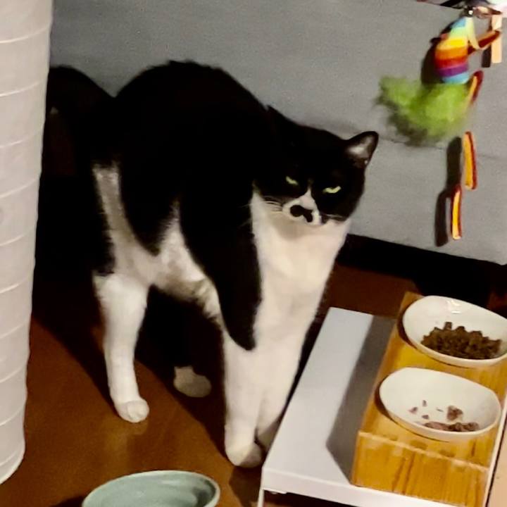 5d7ea649 e461 442e acef c7775aba18d0 1700214981262