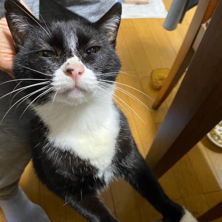 5d7eb8be 85cb 4bd1 829b 3be1be35e889 1665670851035