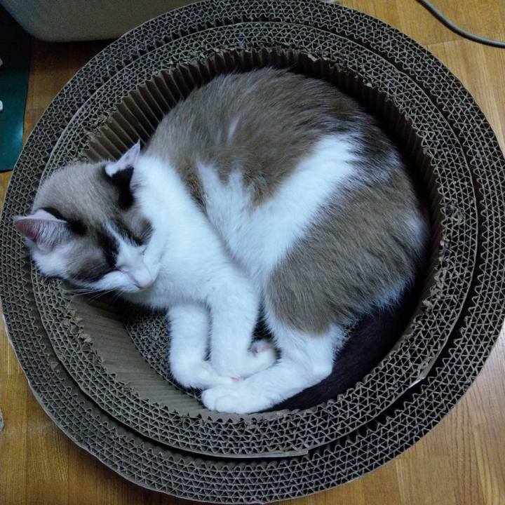 5d7eeb6a e6f3 401e beb4 0517f906e4c6 1569768749395