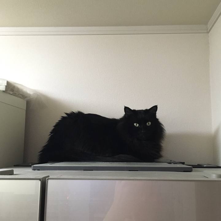 5d7f160d 5907 474e 887c fbfe23aff47e 1545636546325