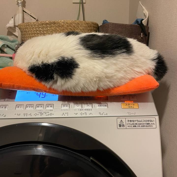 5d7f2f13 73ec 4f92 888f 023654d7a75e 1737036871687