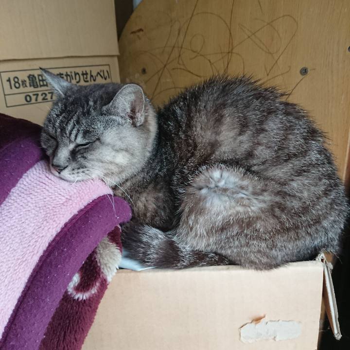 5d7f4edf f4cb 4f1f 8b5f c5d77f745208 1570316067537